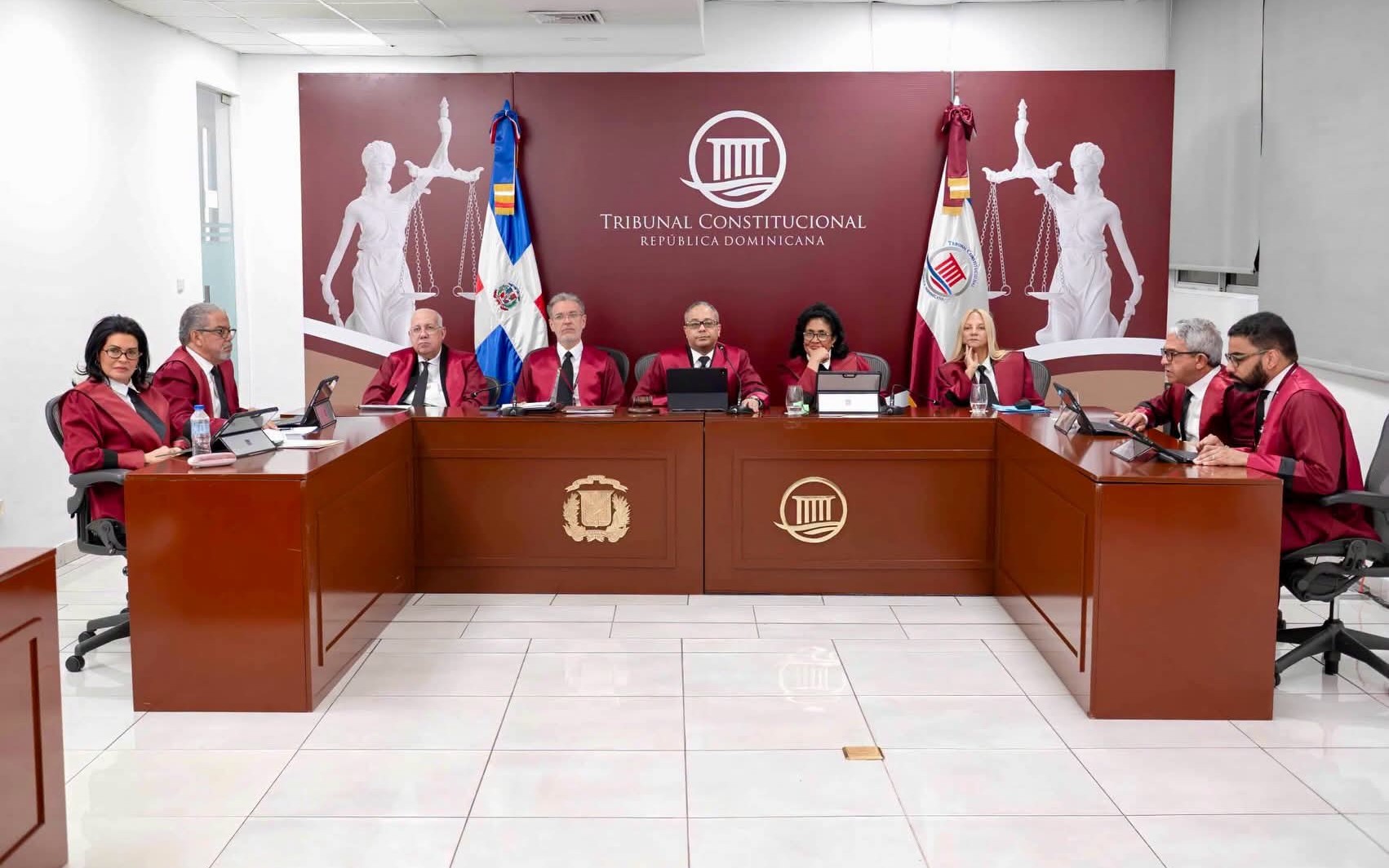 El Pleno del Tribunal Constitucional conoció 15 expedientes de acción directa