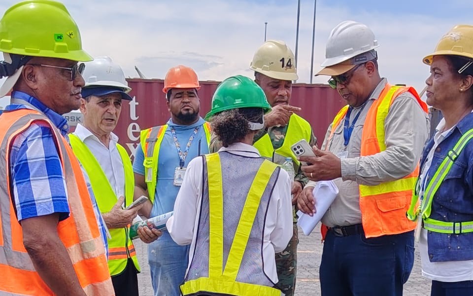 Agricultura incauta 66 toneladas métricas de insecticidas en el muelle de Haina