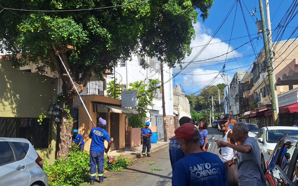 Alcaldía intensifica operativos de poda y limpieza preventiva ante incidencia de aguaceros en la capital